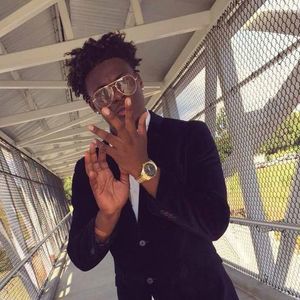 Meet your Posher, Demingus